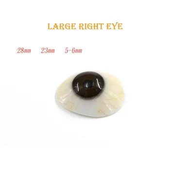 Косметические контактные линзы Показывают, что инвалиды могут использовать атрофию глазного яблока для удаления искусственных глазных протезов из полимерной смолы